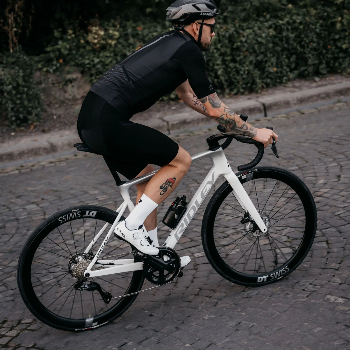Ridley Falcn Roadbike