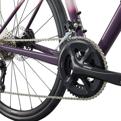 LIV Avail AR 2025 Rennrad Fancy White XS