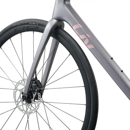 Liv Langma Advanced 2 Rennrad Native Grey S
