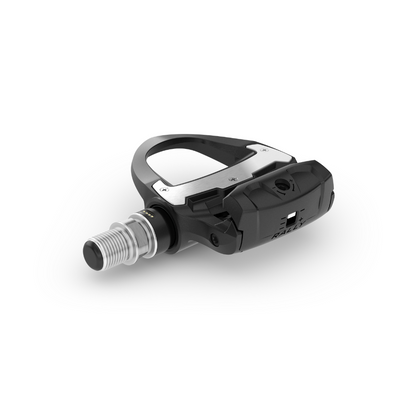Garmin Rally RS210 SPD-SL